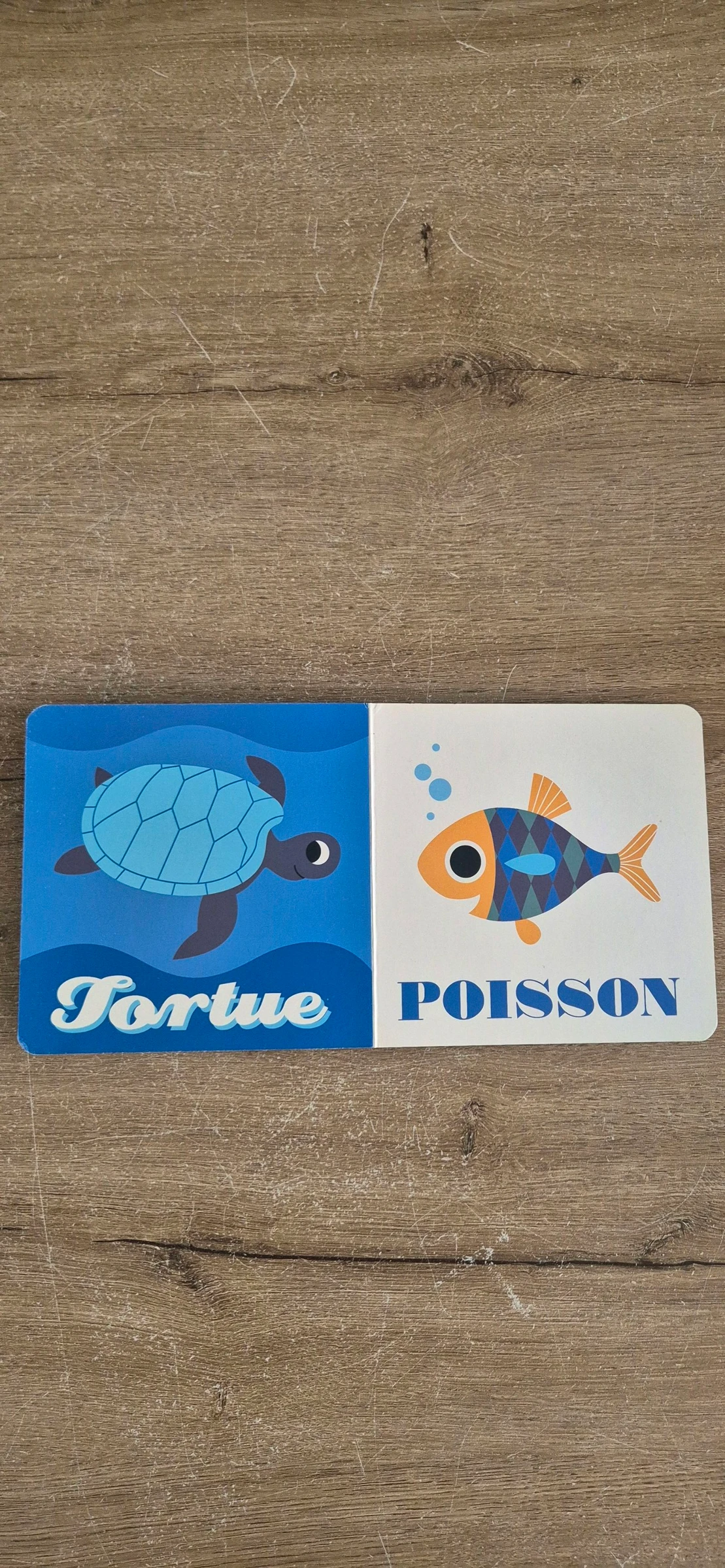 Imagier J'apprends les animaux Banquise et Océan – photo 8